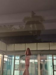 -爱帝宫月子中心(罗湖别墅院)