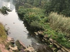 -重庆彩云湖湿地公园