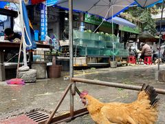 -红星农贸综合市场