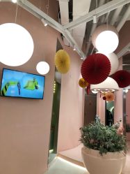-好看加白色房子