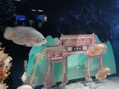 -重庆欢乐海底世界