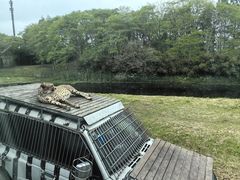 -上海野生动物园