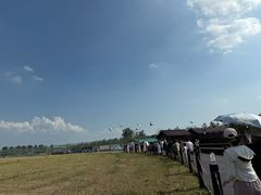 -盐城丹顶鹤湿地生态旅游区