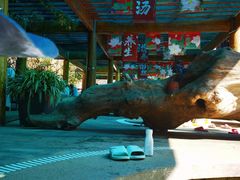 -华侨城阳宗海海景温泉