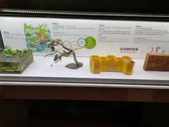 -正佳雨林生态植物园