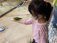 -上海大自然野生昆虫馆(东方明珠·爬宠昆虫探索中心)