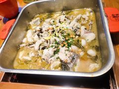 -舒来喜鱼锅(伊河路店)