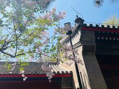 -红螺寺