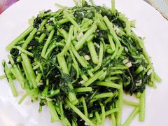 -林之六八·6886大连老菜馆