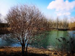 -东郊湿地公园