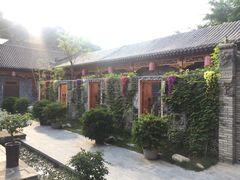 -渭南桃花源民俗文化园