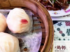 -憶廟街 X 沙角邨(太古城店)