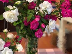 -人民公园(罗湖区)