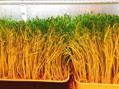 -煲宫猪肚鸡(昆山金鹰国际购物中心店)