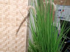 -耳艺采耳·足疗·按摩SPA(东圃店)