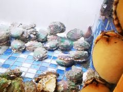 鲍鱼仔-金穗园·砂锅粥.醉鸡煲火锅(长寿路店)
