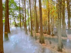 -东湖落雁景区
