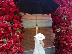 -西安电影制片厂