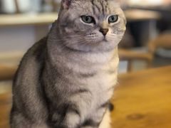 -平行世界·猫咖(首经贸店)
