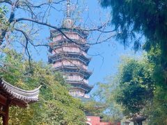 -焦山景区-万佛塔