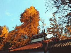 -岳麓山风景名胜区