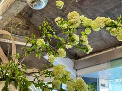 -麻雀咖啡SPARROW COFFEE(十全街店)