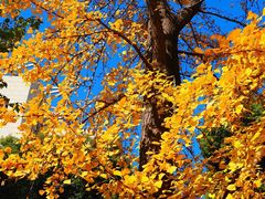 -沪东工人文化宫