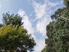 -滇池海埂公园