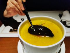 -觀芷隐轩