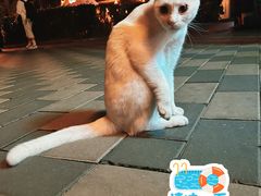 -天津自然博物馆