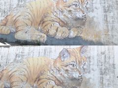 -槟城街头艺术街区