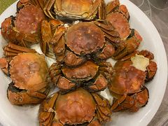 -乾隆美食·本帮菜(黄河路店)