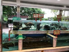 -沙河粉村·国家非遗传承(云台店)