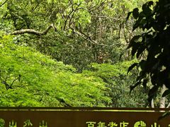 -山外山菜馆(玉泉路店)