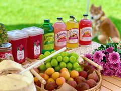 -北京金海湖景区