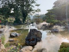 -东莞植物园