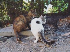 -苏州河梦清园环保主题公园