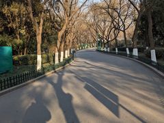 -泰山风景名胜区-虎山公园