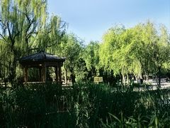 -太阳宫公园