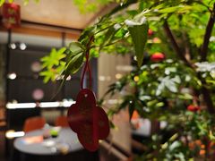 -肆月河豚·淮扬菜·湘菜(华天店)