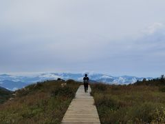-白草畔自然风景区