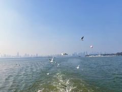 -东湖落雁景区