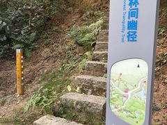 -火炉山森林公园