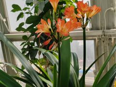 -北京植物园-展览温室