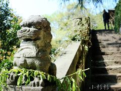 -知味观(湖滨总店)