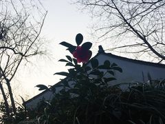 -法云安缦酒店
