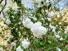 -衡山路(地铁站)