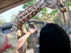 -清迈夜间动物园