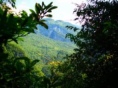 -鹿院坪生态旅游景区