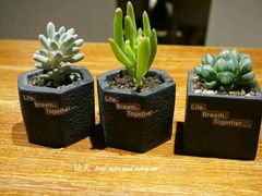 -阅西安新华书店(翠华南路店)